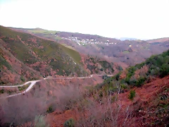 DSCN1608 DSCN1608