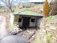 DSCN1650 DSCN1650