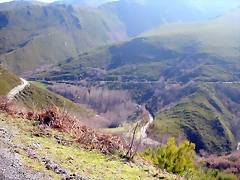 DSCN1699 DSCN1699