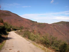 DSCN1705 DSCN1705