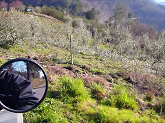 DSCN1796 DSCN1796