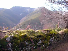 DSCN1653 DSCN1653
