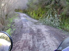 DSCN1703 DSCN1703