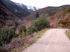 DSCN1606 DSCN1606
