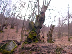 DSCN1630 DSCN1630