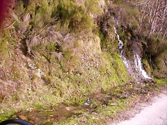 DSCN1639 DSCN1639