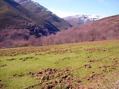 DSCN1698 DSCN1698