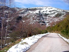 DSCN1663 DSCN1663