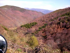 DSCN1706 DSCN1706