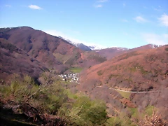 DSCN1707 DSCN1707