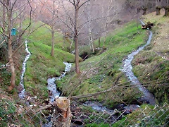 DSCN1859