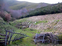 DSCN1858