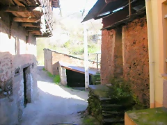 DSCN1783 DSCN1783