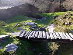 DSCN1829 DSCN1829