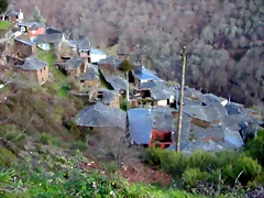 DSCN1861