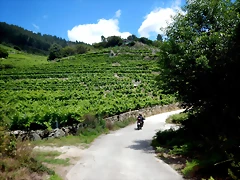 DSCN7818 DSCN7818