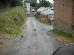 DSCN4781 DSCN4781