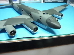 P1100180