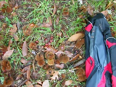 DSCN5806 DSCN5806