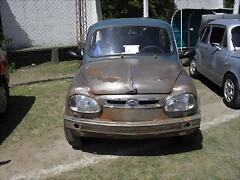 SDC10428 SDC10428