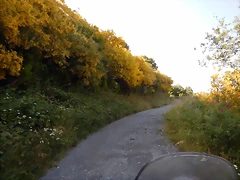 DSCN9213 DSCN9213