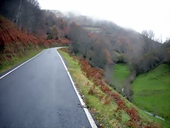 DSCN0984 DSCN0984