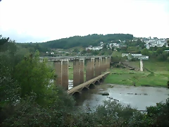 DSCN5411