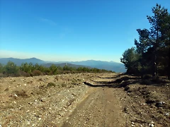 DSCN2559 DSCN2559