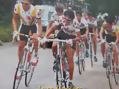 Perico-Tour1987-Herrera-Mottet-Roche-Lejarreta-Alcal?-Fuerte