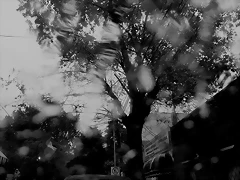 20161015_100554 20161015_100554