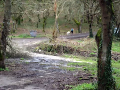 IMG_2351 IMG_2351