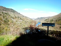 DSCN5146 DSCN5146