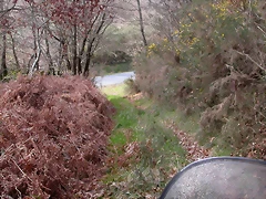 DSCN1983