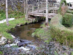 DSCN1965