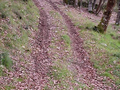 DSCN1986