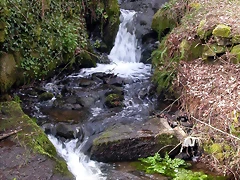 DSCN1977