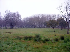 DSCN7453 DSCN7453