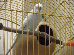 IMG_8563 IMG_8563