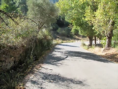 A47