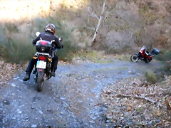 DSCN2951 DSCN2951