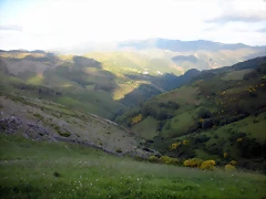 DSCN4320 DSCN4320