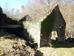 DSCN1517 DSCN1517