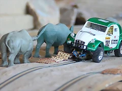 10425150_998563313487724_8021612711939837352_n 10425150_998563313487724_8021612711939837352_n