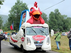 IMG_6974 IMG_6974