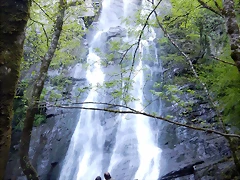 DSCN4743 DSCN4743