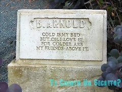 arnaold arnaold