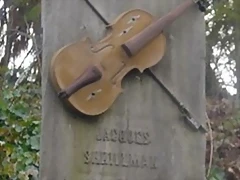 violin violin