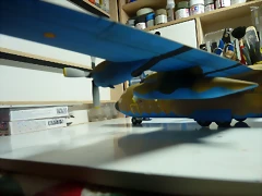 P1080860 P1080860