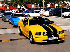 PA060851 PA060851