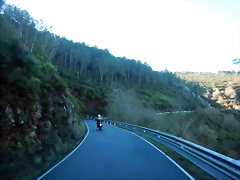 DSCN1534 DSCN1534